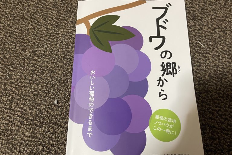 ブドウの勉強の日