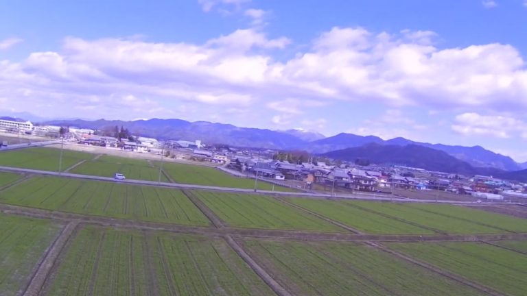 いよいよ春が来る！！