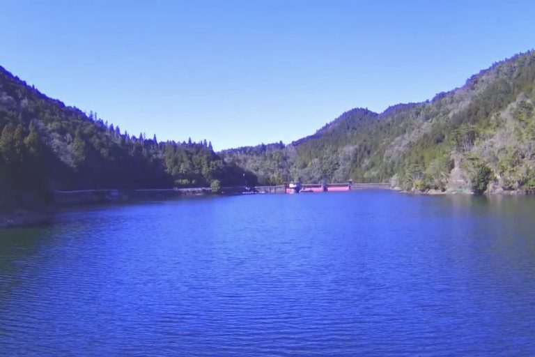 会議・会議・会議な日々。