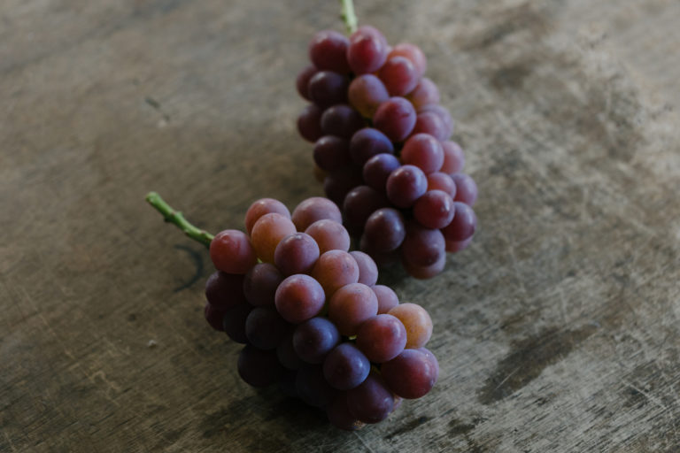 竜宝ブドウの紹介！