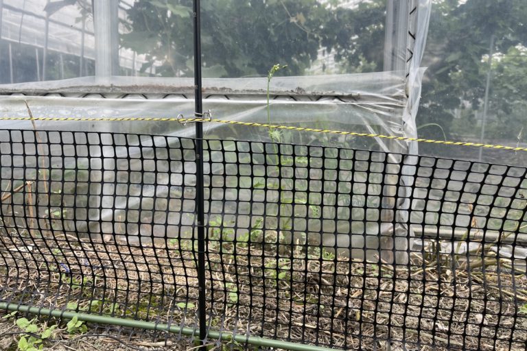 接触禁止のイエローライン‼