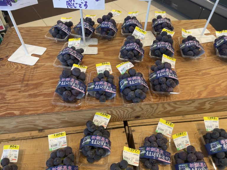 あづましずくの出荷完了！次は竜宝⁉