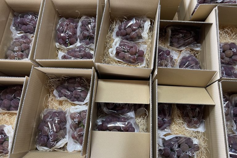 充実した夏の日。