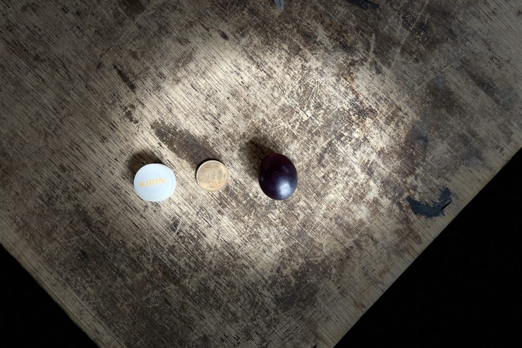 藤稔の収穫作業