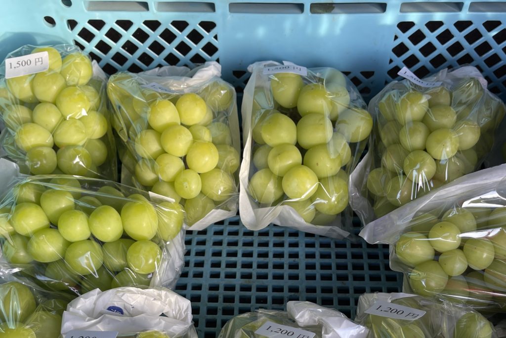 中山農園のブドウ。初めて敗北を知る。