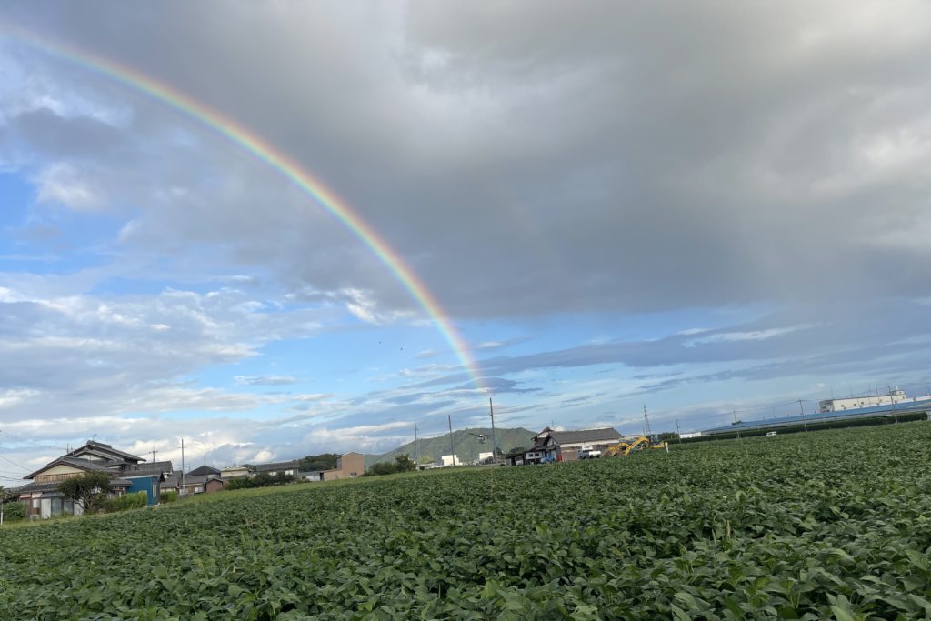 ブログ記事100投稿突破。
