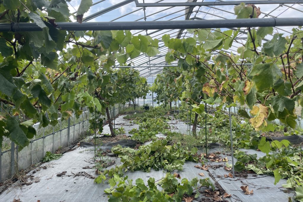 お米の配達頑張ります！