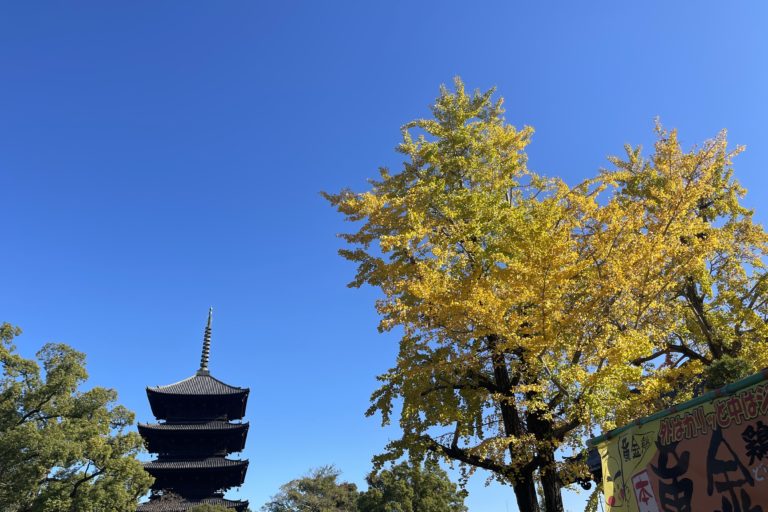 新嘗祭へ参加してきました。