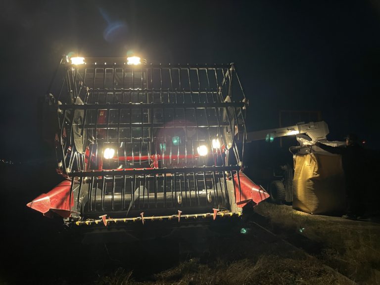 黒大豆の収穫進んでます！！