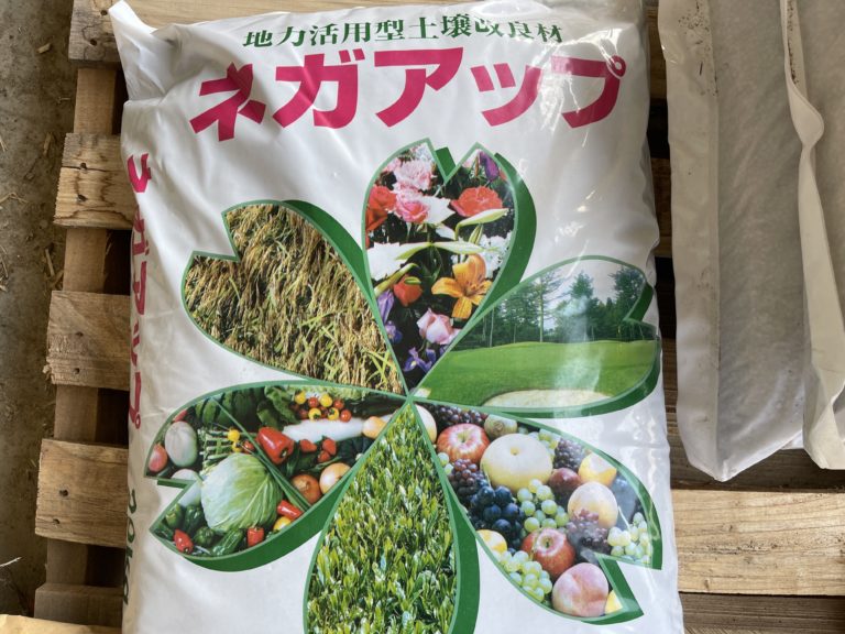 ブドウが萌芽間近！中山農園2024始動！！