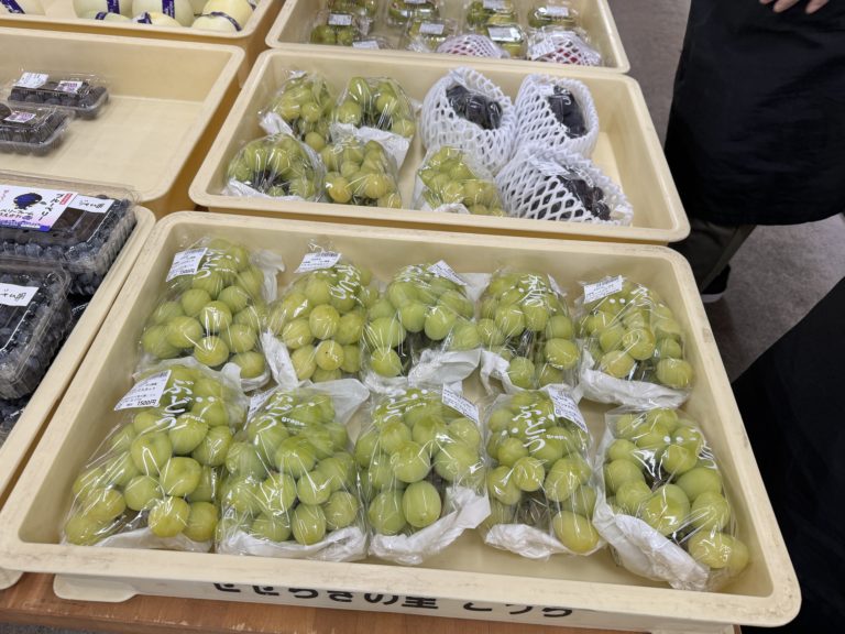 残すはシャインマスカットのみ！！